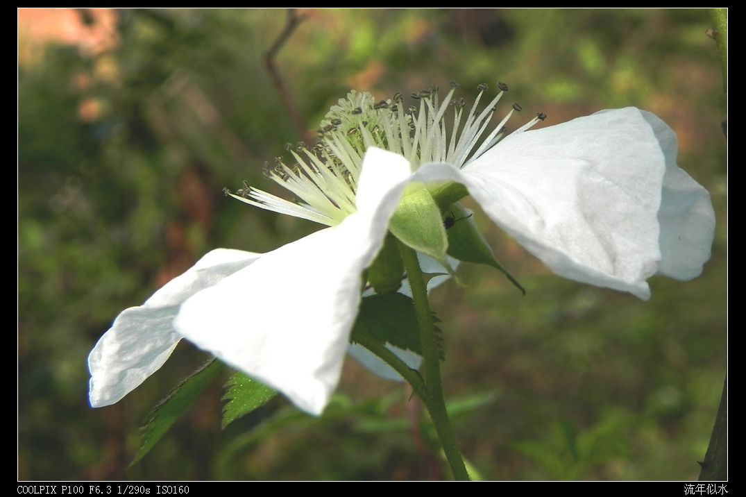 DSCN2947.JPG