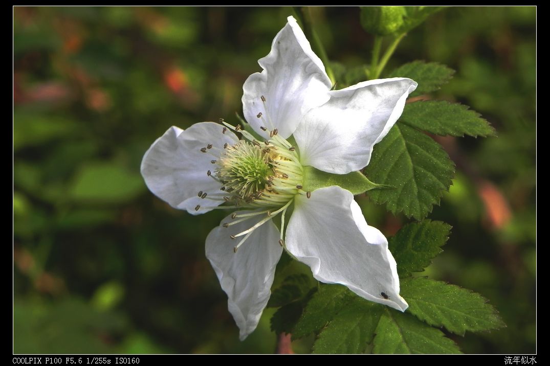 DSCN2949.JPG