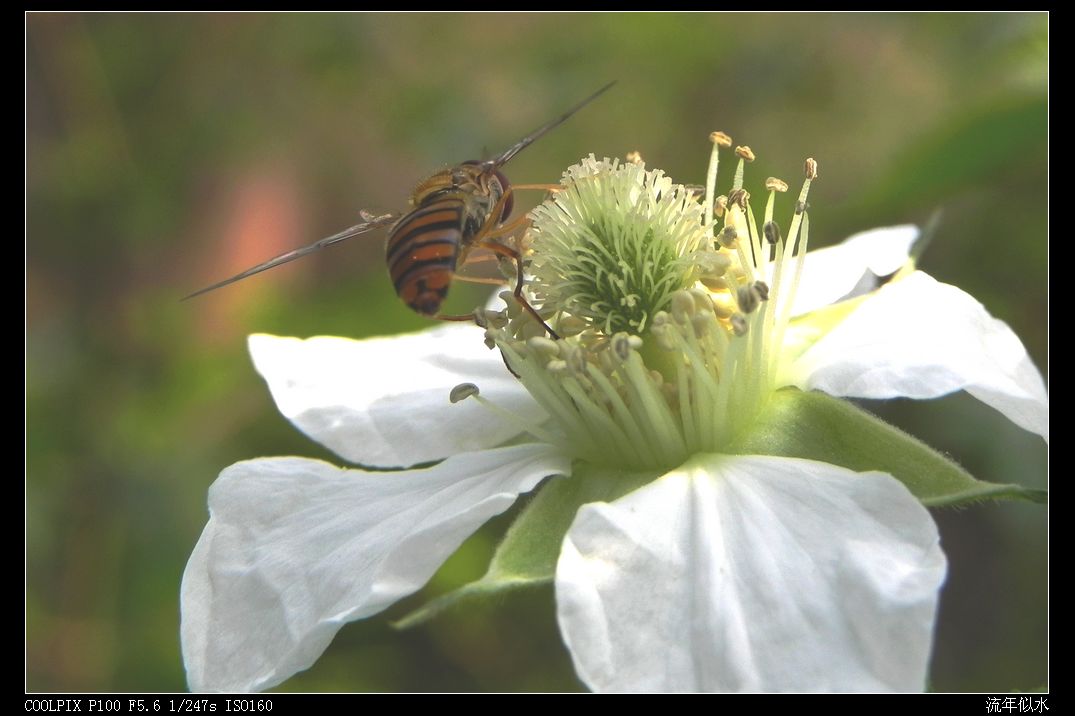 DSCN2952.JPG