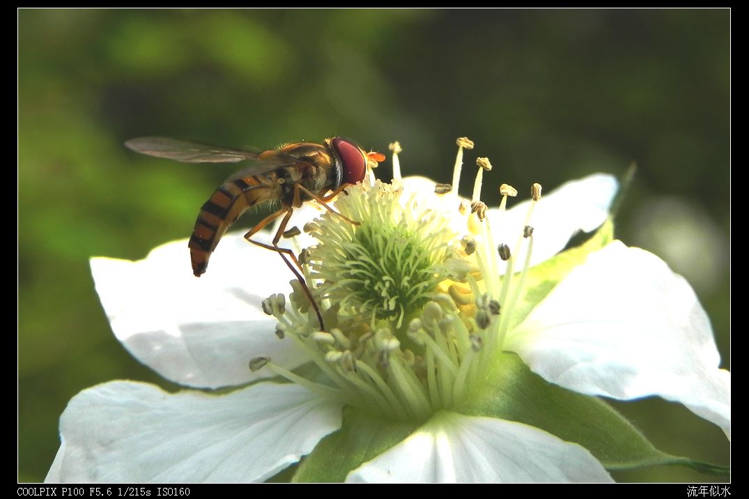 DSCN2954.JPG