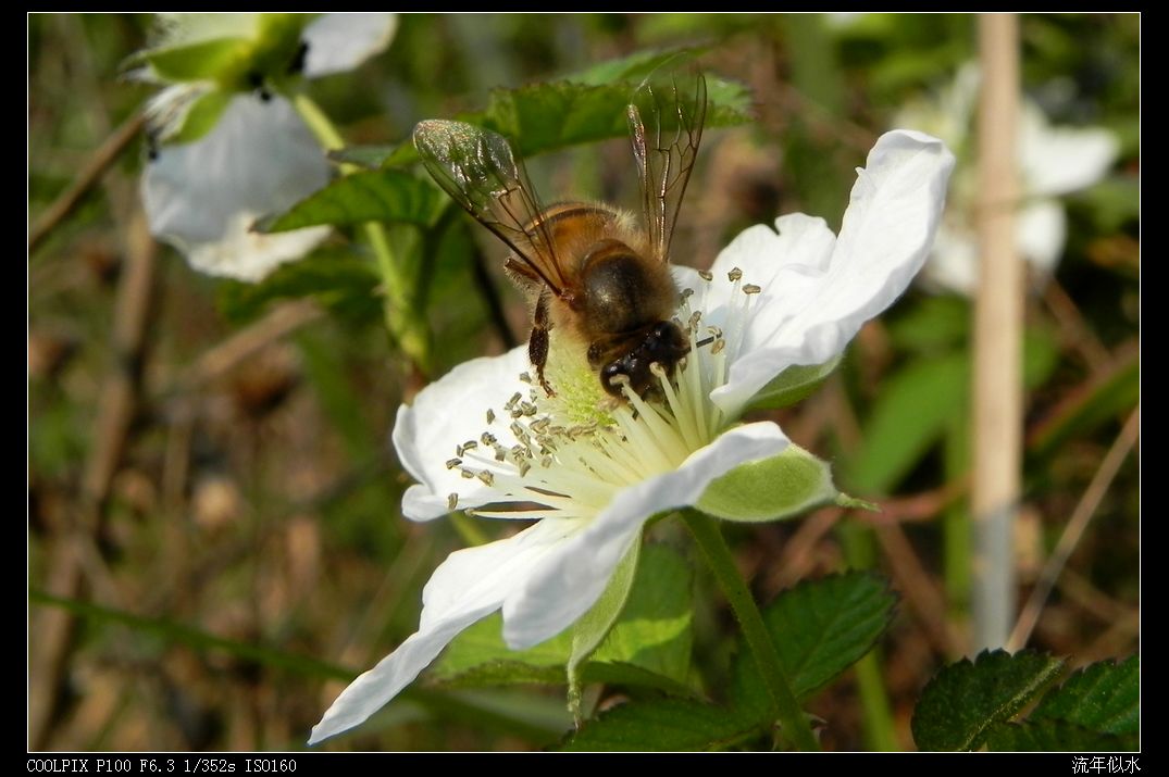 DSCN2975.JPG