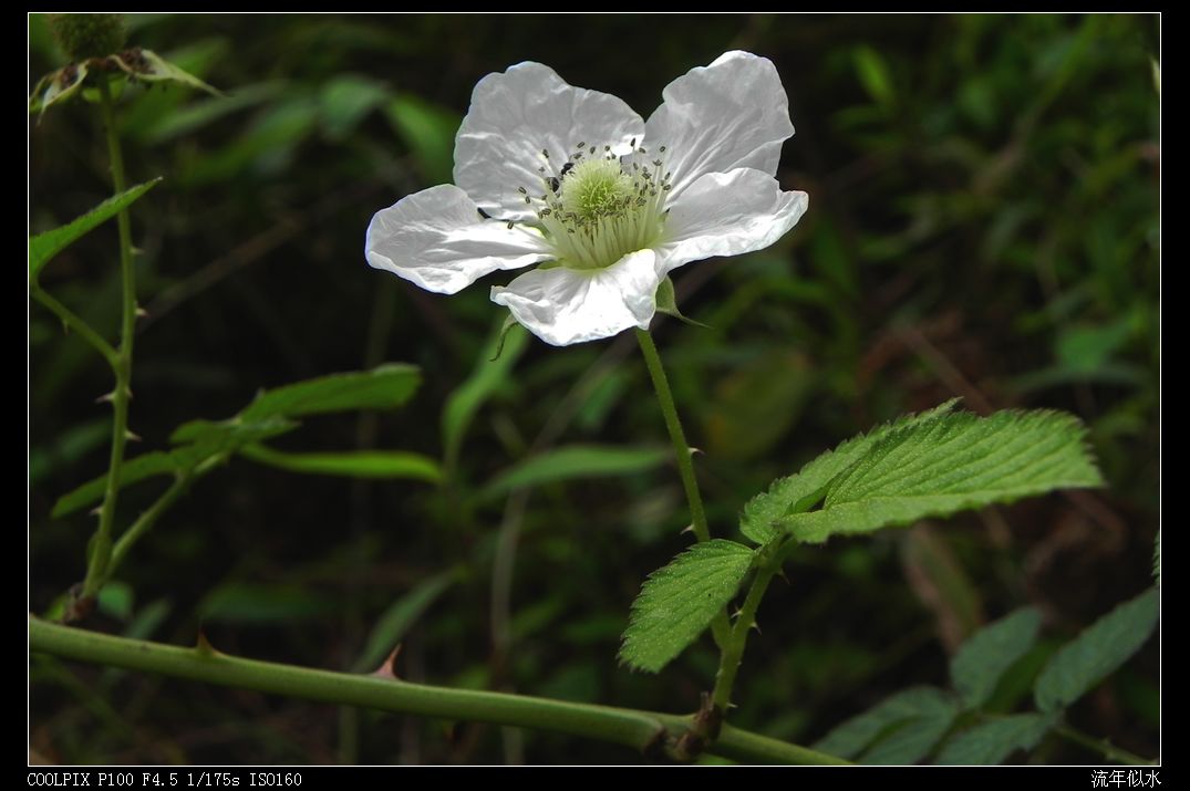 DSCN2879.JPG