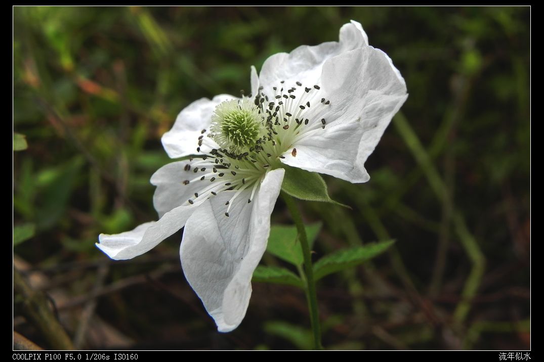DSCN2882.JPG