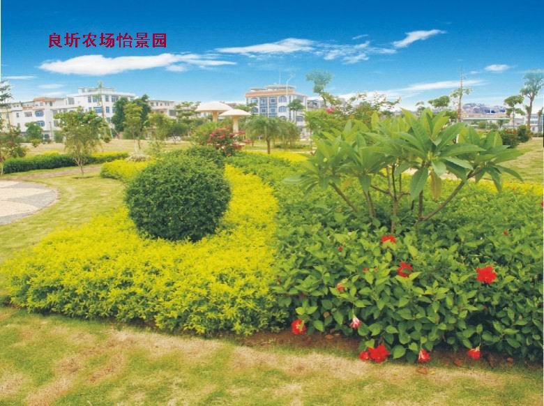 1副本.jpg