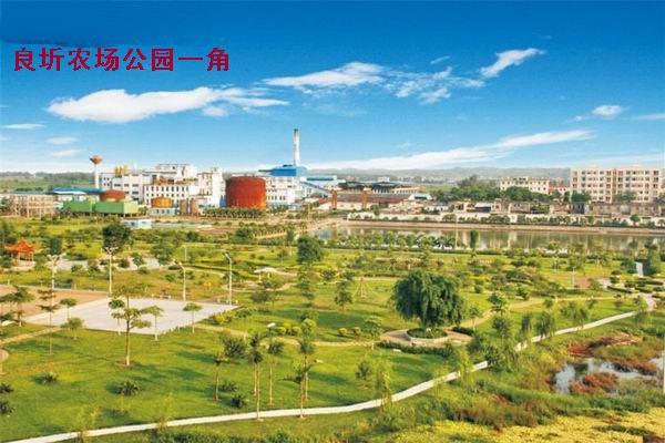2010121511503087547_副本.jpg