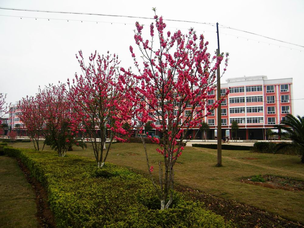 DSCF3410.jpg