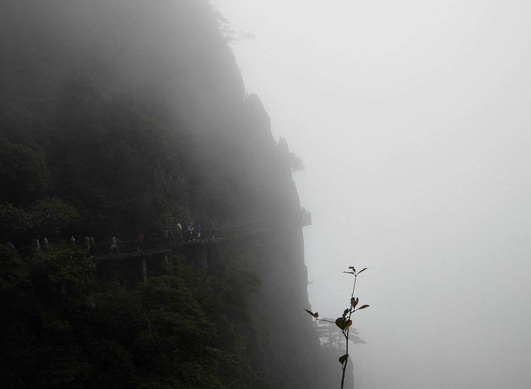 云雾中的三清山栈道.jpg
