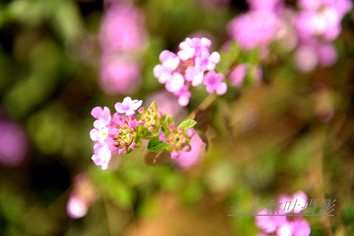 DSC_3548.jpg