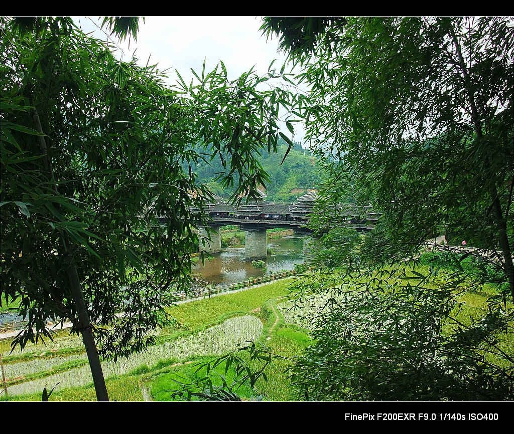 DSCF2612.JPG