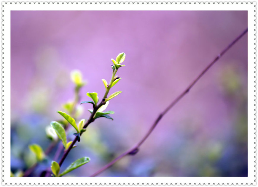 DSC02262_副本.jpg