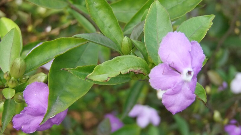 DSCF6429.jpg