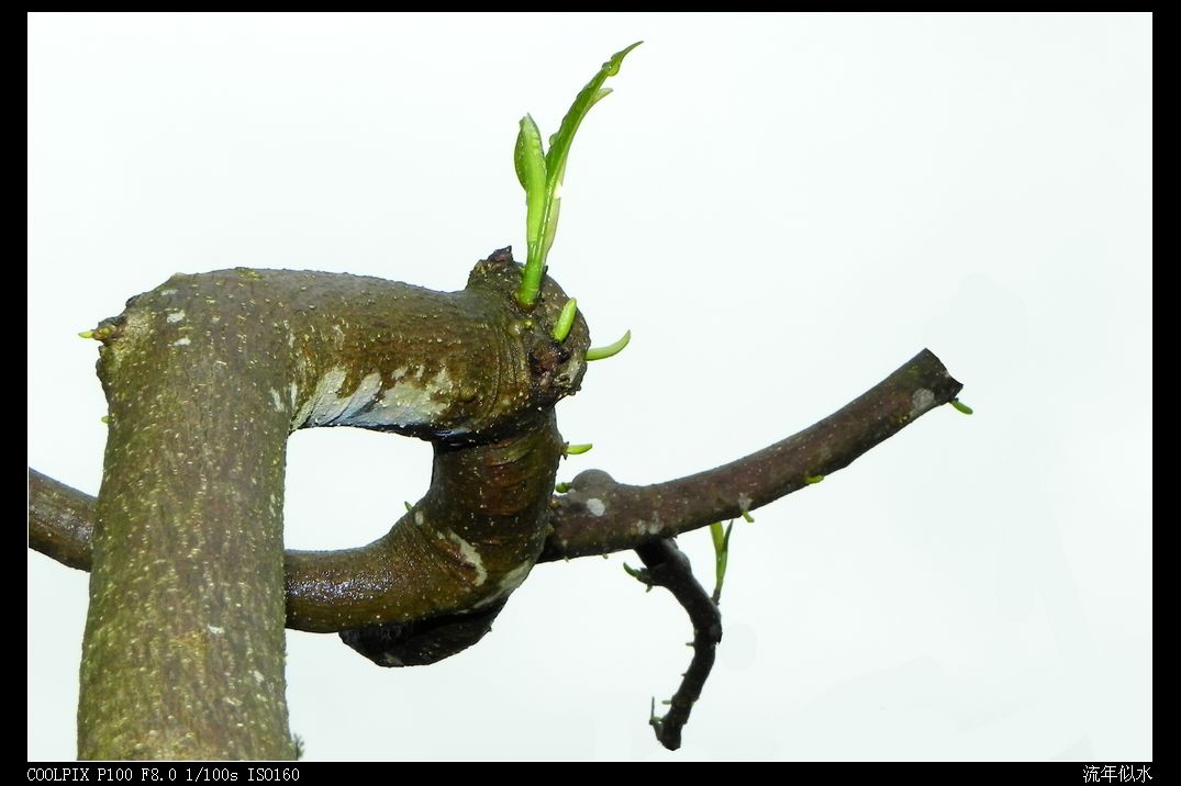 DSCN3077.JPG