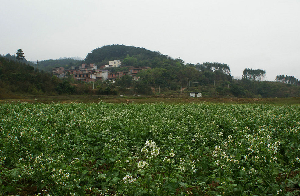 DSC02606.jpg