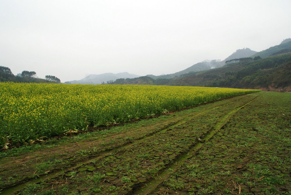 DSC02614.jpg
