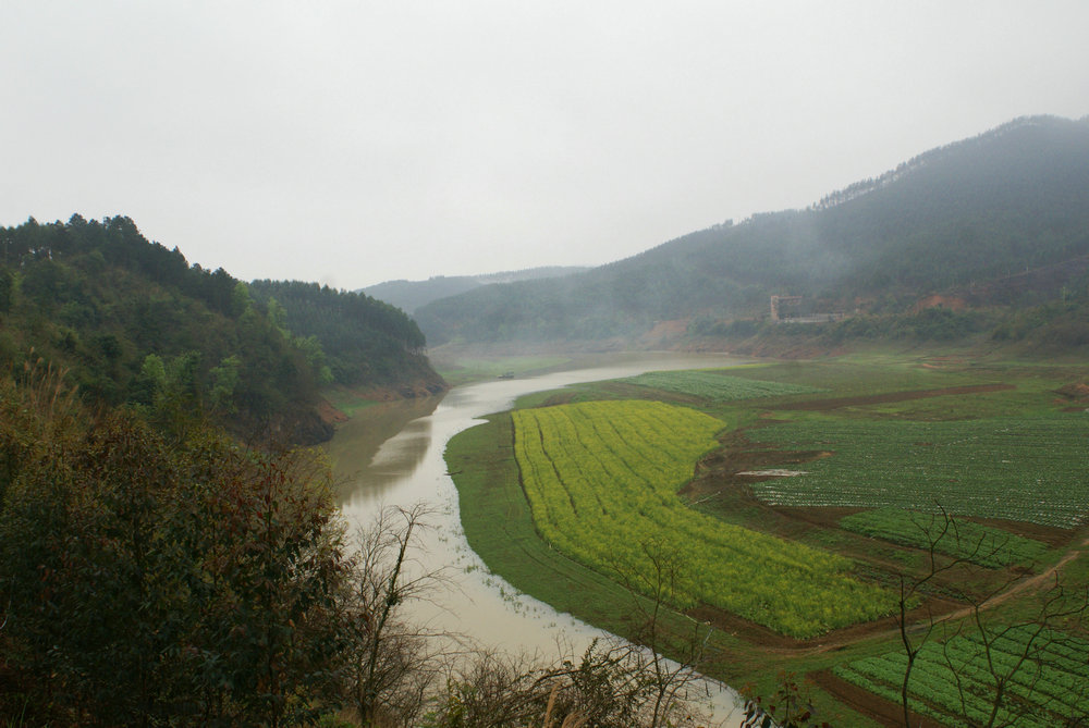 DSC02712.jpg