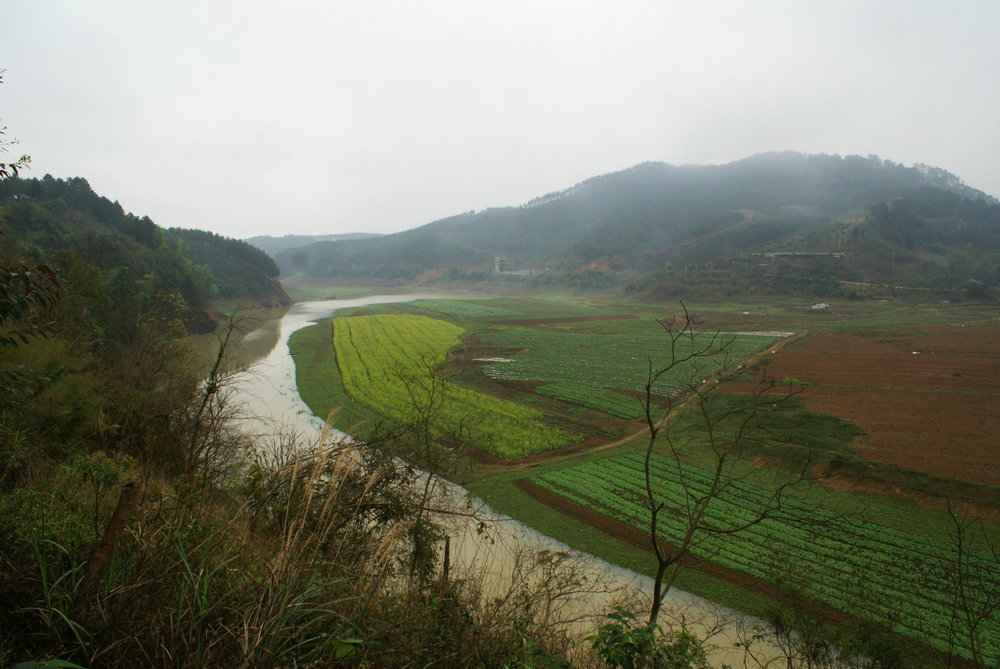 DSC02714.jpg