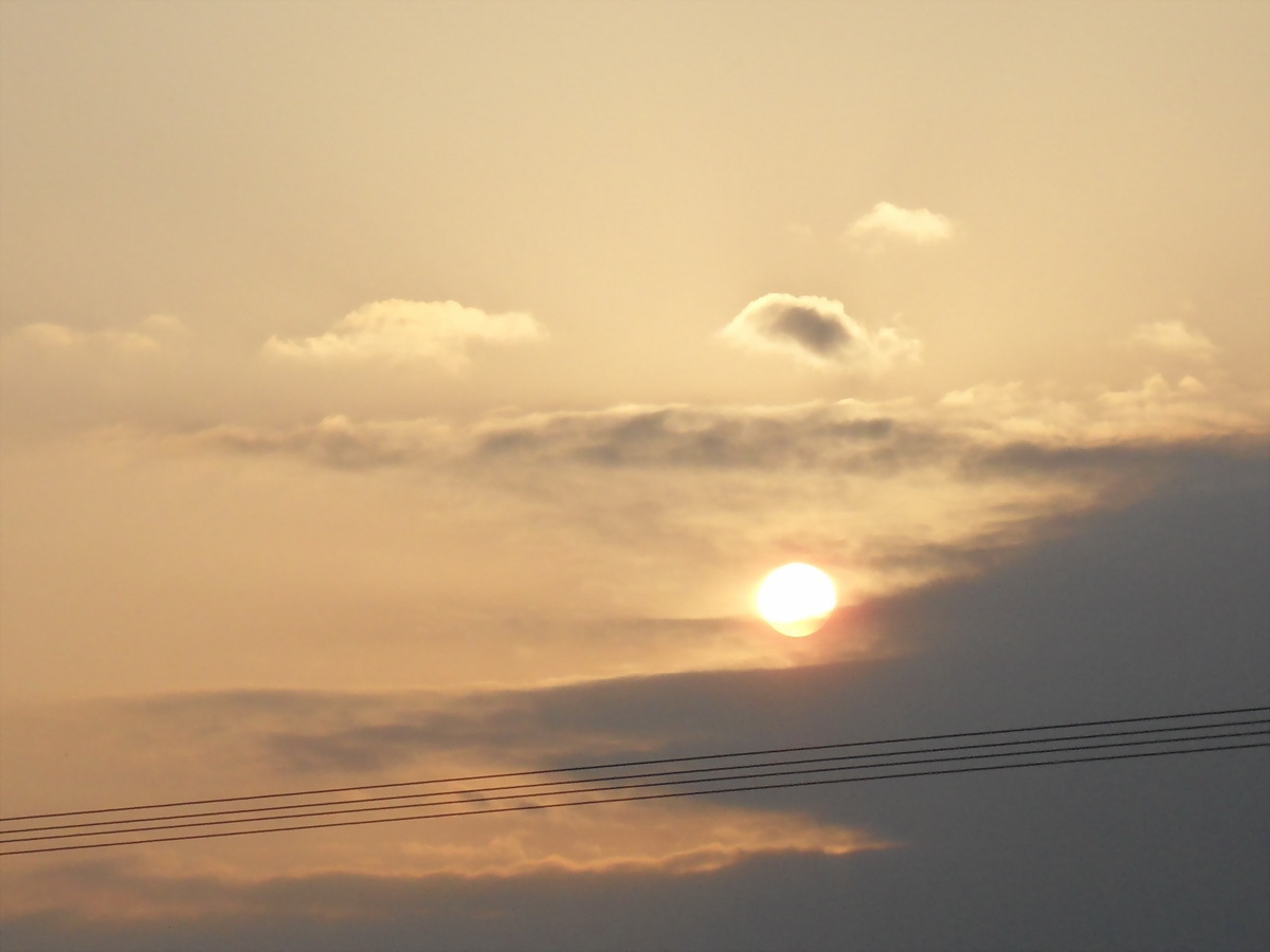 SDC10206.jpg