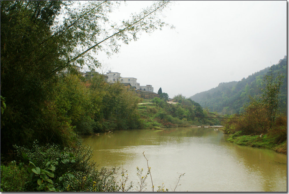 DSC02634.jpg