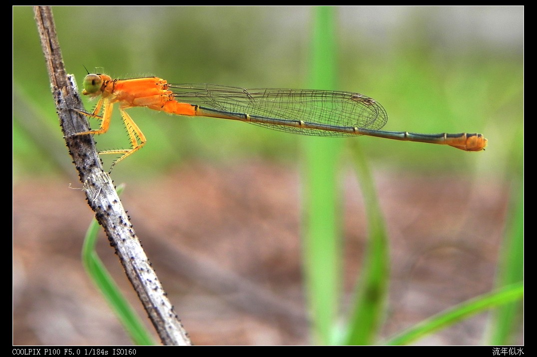 DSCN4288.JPG
