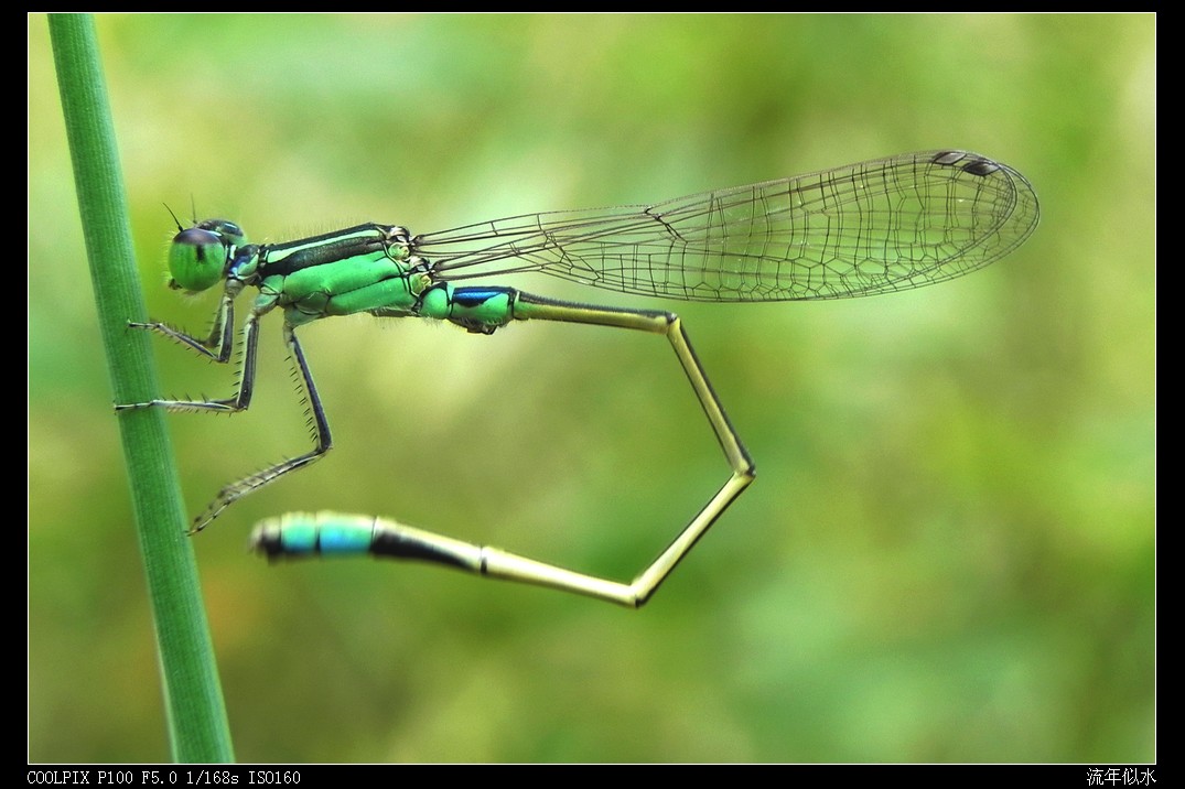 DSCN4974.JPG