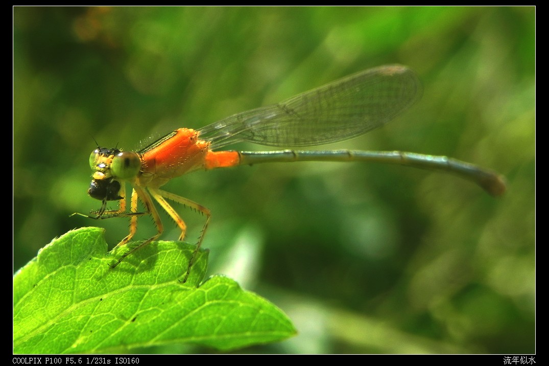 DSCN4988.JPG