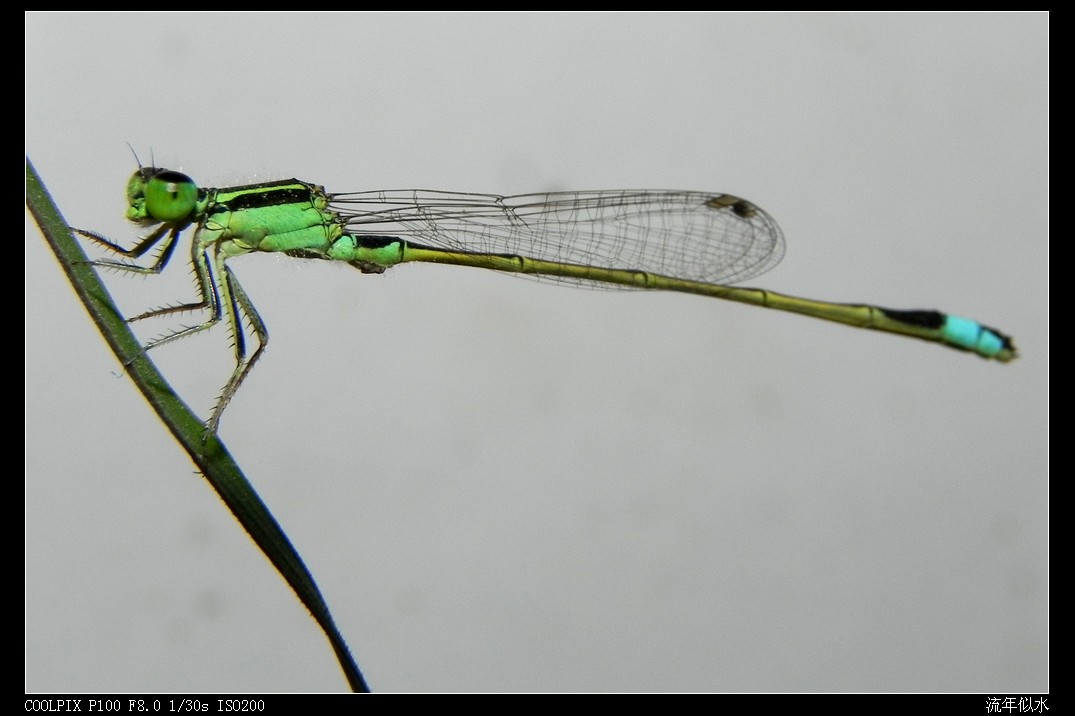 DSCN5658.JPG