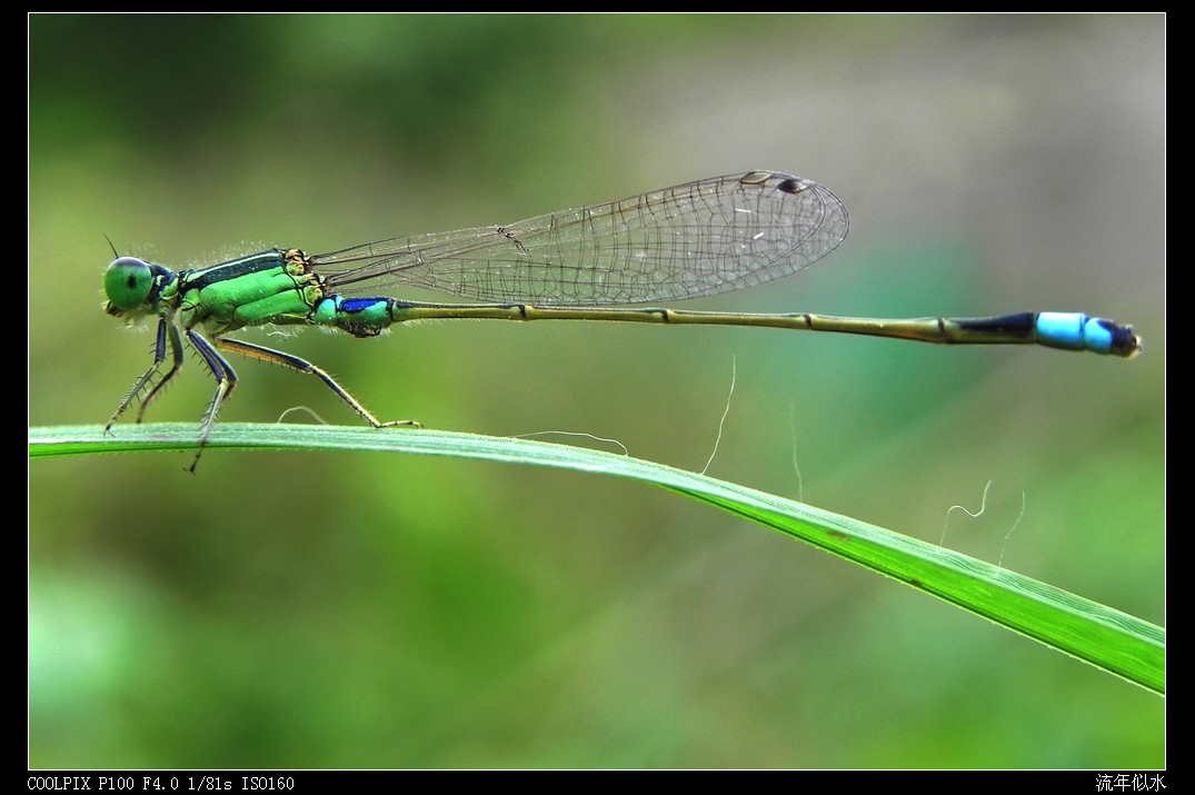 DSCN6011.JPG