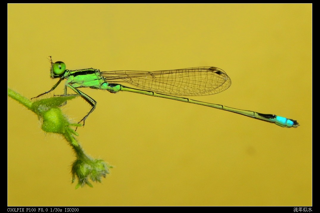 DSCN6780.JPG