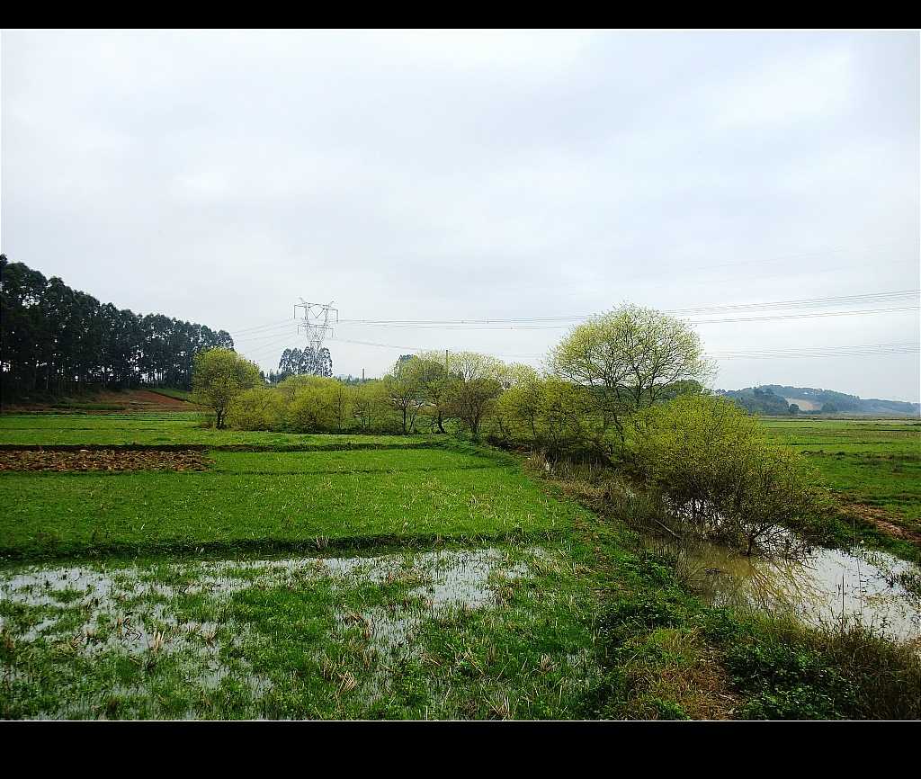 4-佛子杨柳堤.jpg