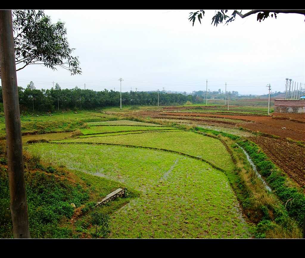 7-田园风光 (2).JPG
