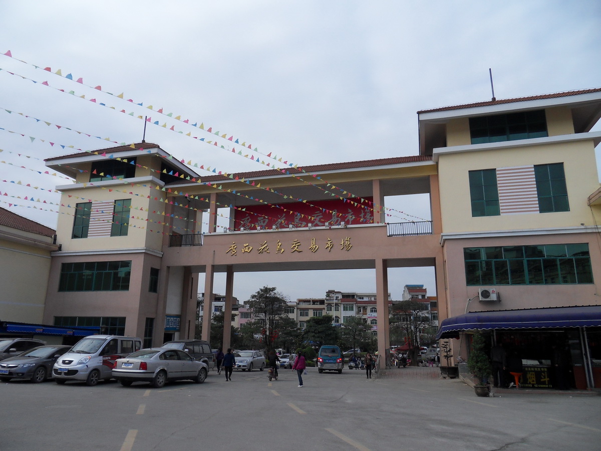 SDC10264.jpg