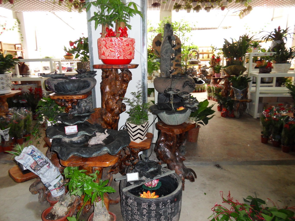 SDC10227.jpg