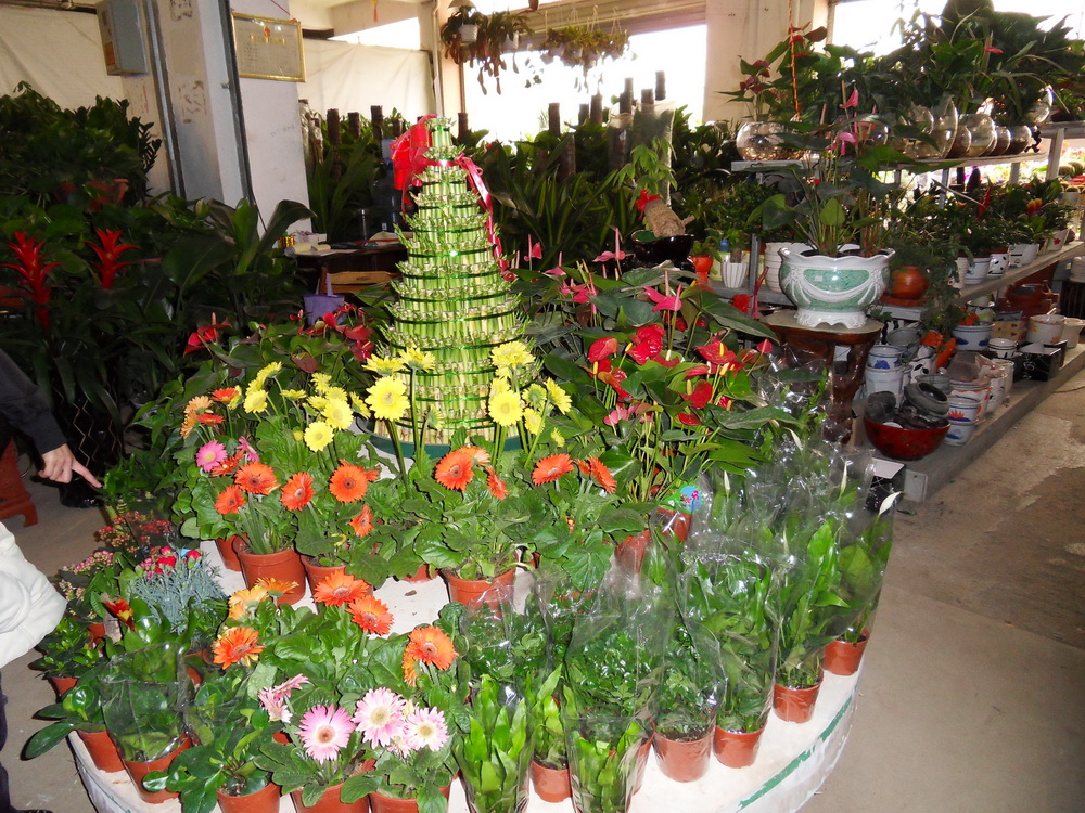 SDC10229.jpg