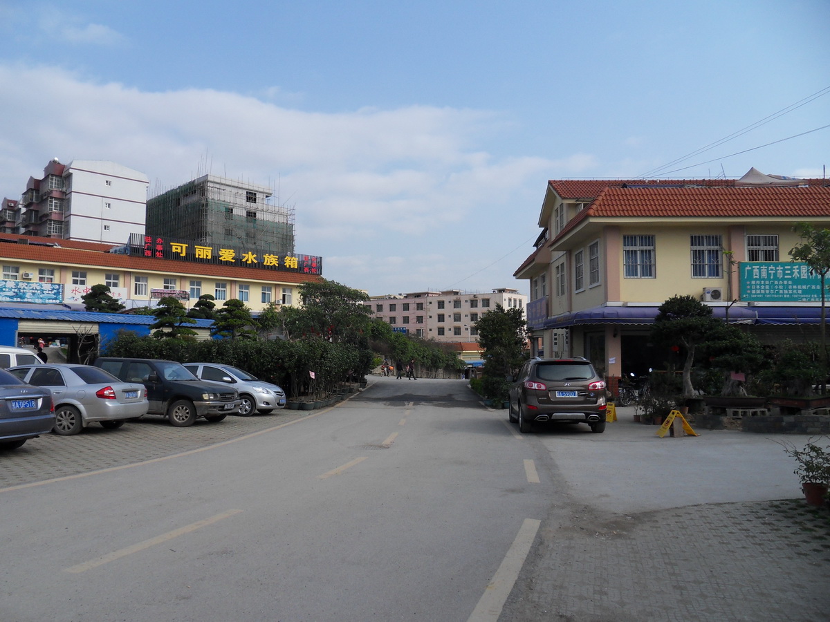 SDC10246.jpg