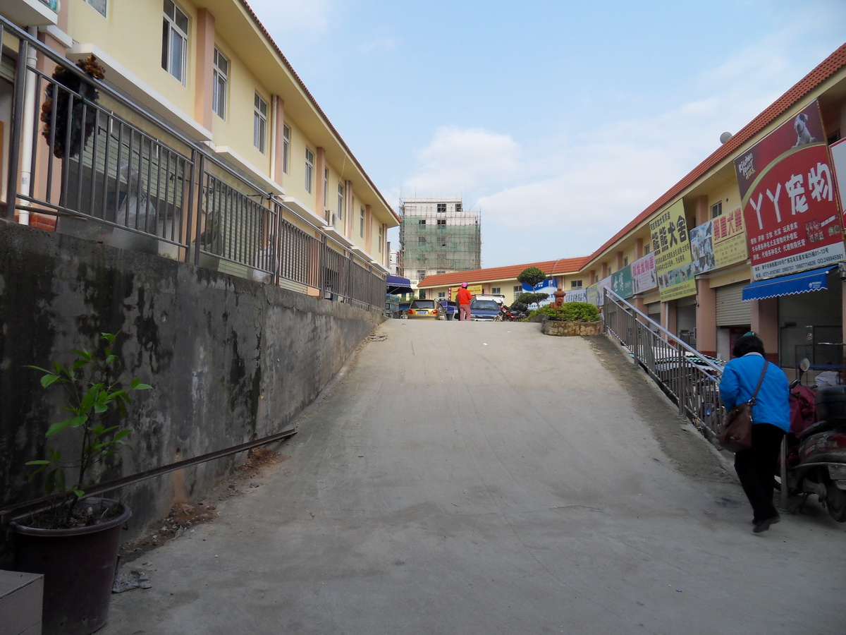 SDC10248.jpg