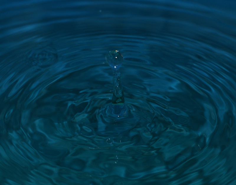 DSC_0018.jpg