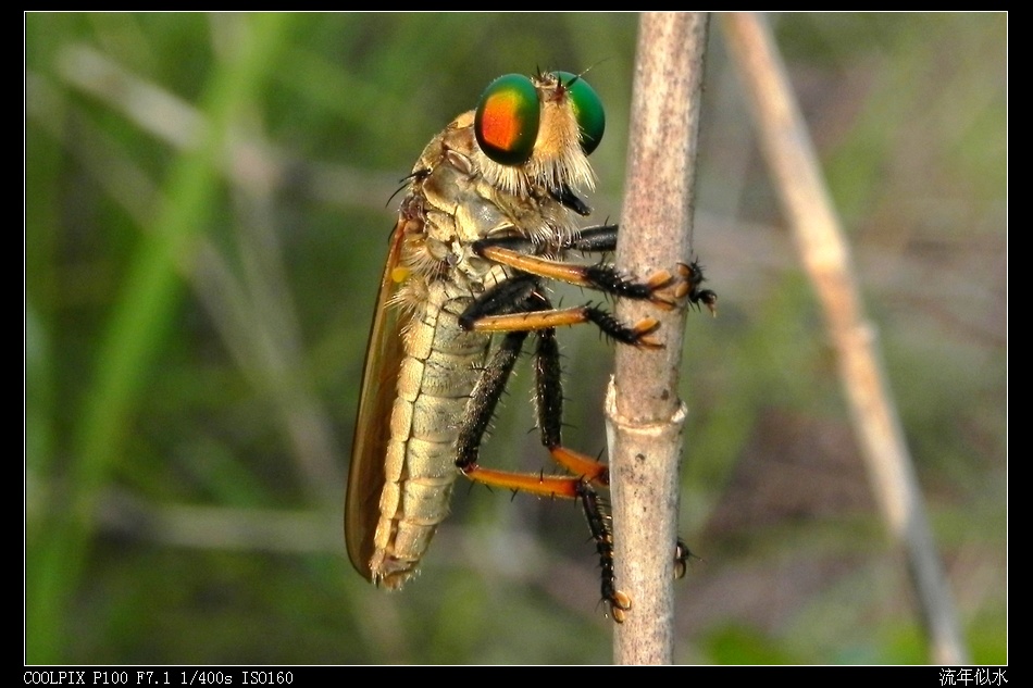 DSCN1215.JPG