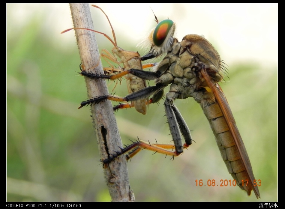 DSCN1224.JPG