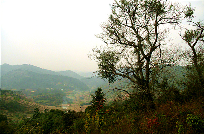 img_4997_副本_.jpg