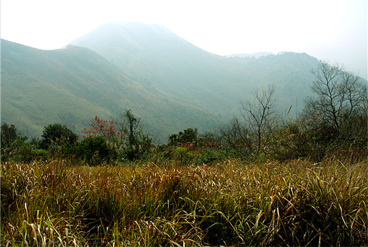 img_4839_副本2.jpg