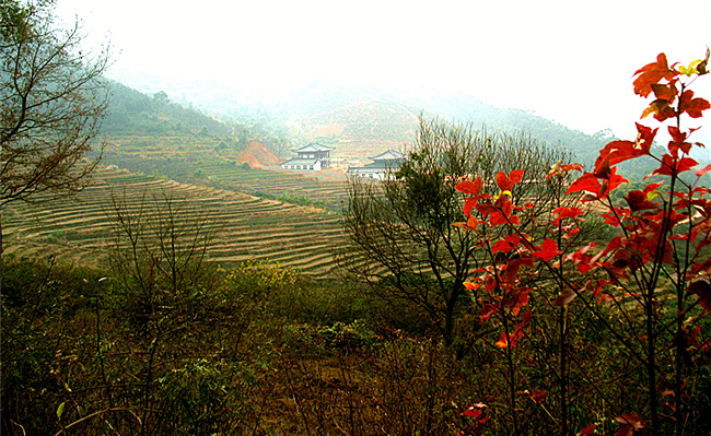 img_4999_副本_副本.jpg