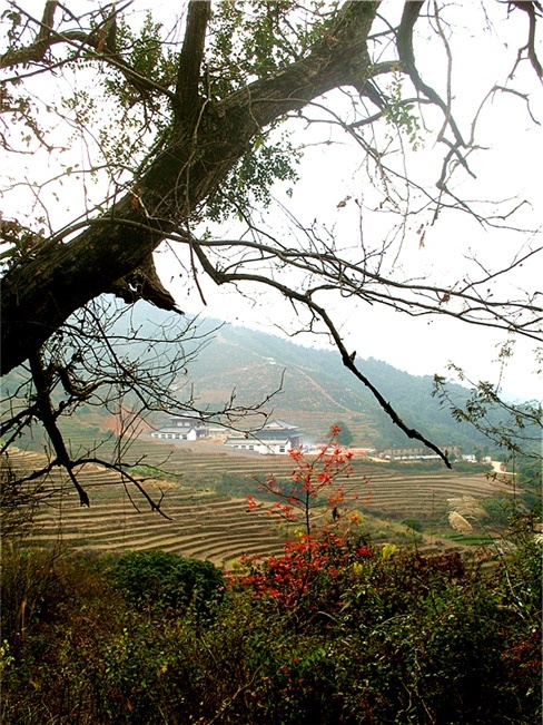 img_5003_副本2.jpg