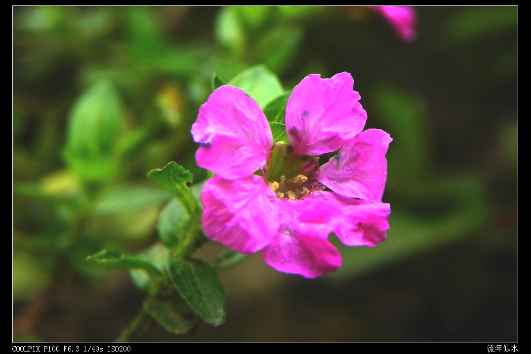 DSCN3332.JPG