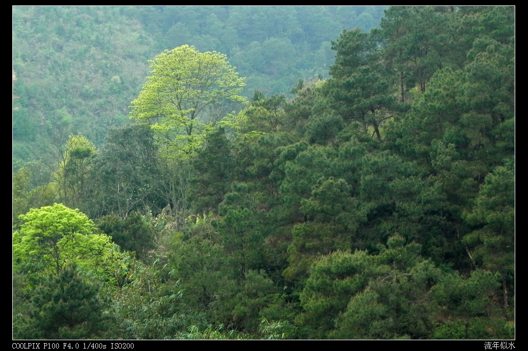 DSCN3423.JPG