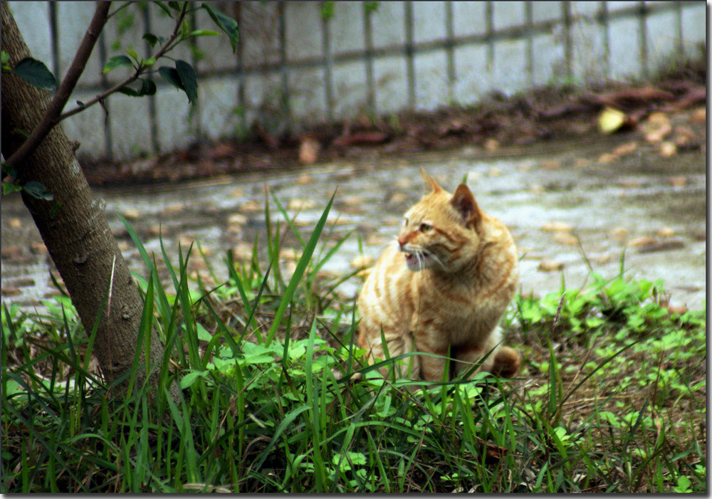 DSC01678.JPG