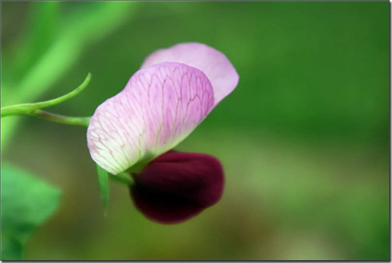DSC03325_副本.jpg