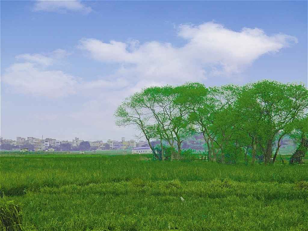 DSCF4914.jpg