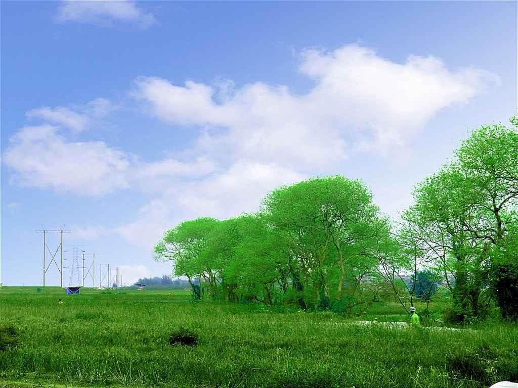 DSCF4905.jpg
