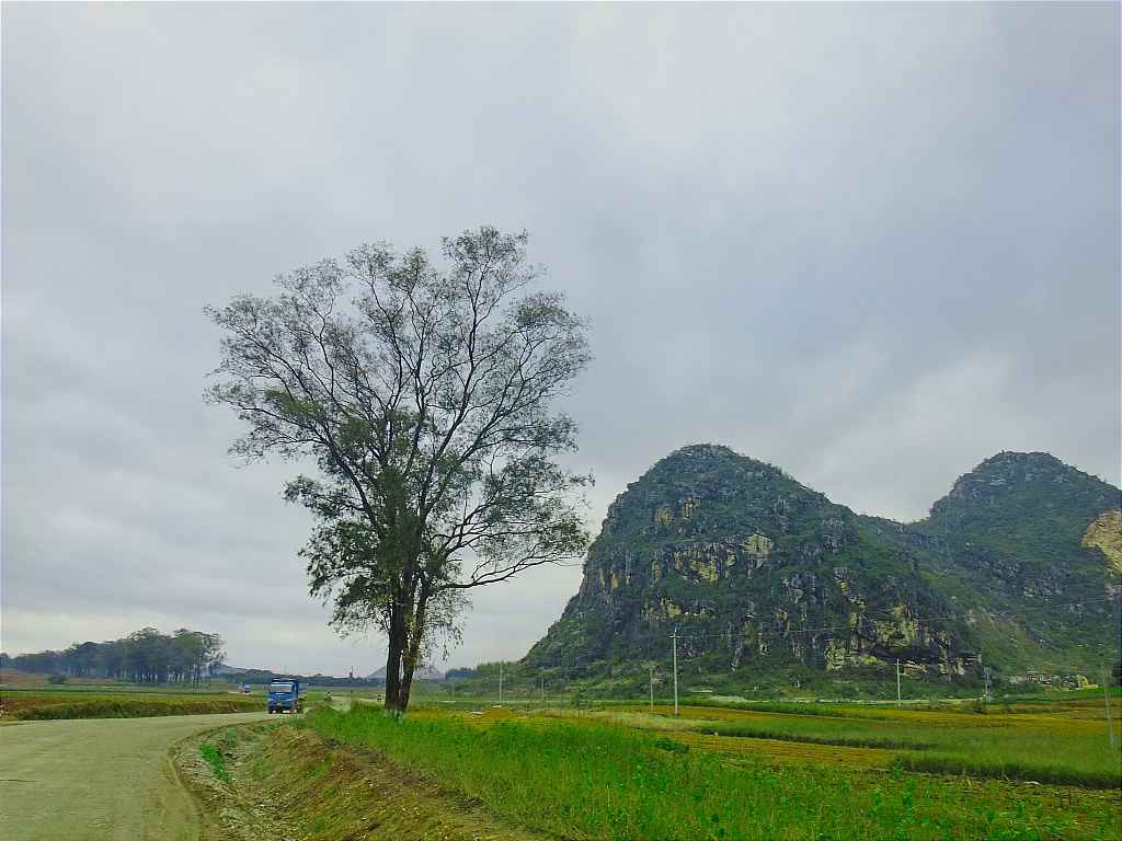 DSCF4931.jpg