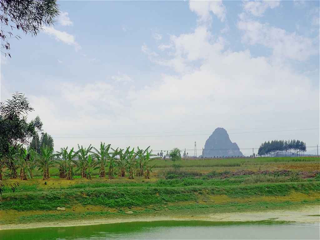 DSCF4929.jpg